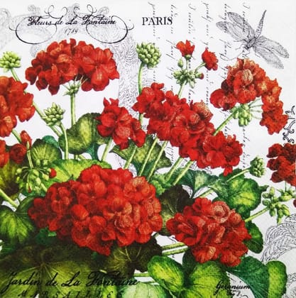 Decoupage Napkin / Tissue papers - 33cm by 33cm - GT1057