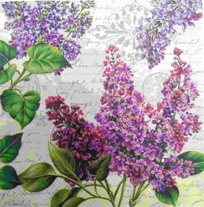 Decoupage Napkin / Tissue papers - GT1922