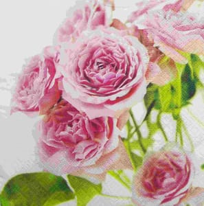 Decoupage Napkin / Tissue papers - GT1727