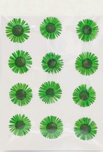 Dry Pressed Flowers - DF46-3