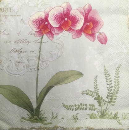 Decoupage Napkin / Tissue papers - GT1923