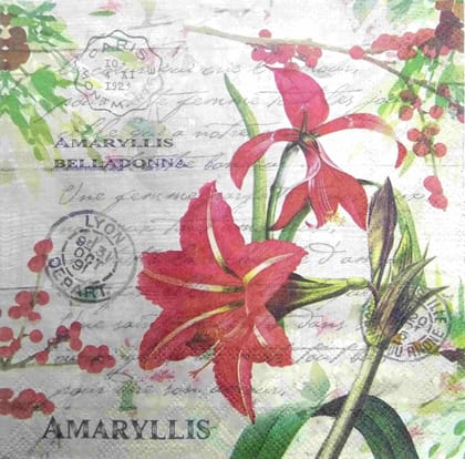 Decoupage Napkin / Tissue papers - GT2006