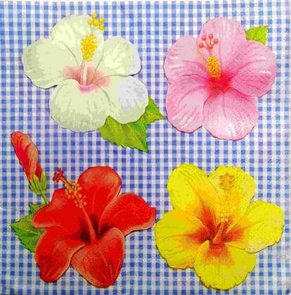 Decoupage Napkin / Tissue papers - 33cm by 33cm - LGT1862