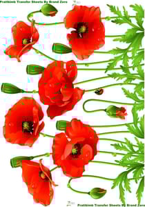 Brand Zero Pratibimb Transfer Sheets - Poppy Love 1