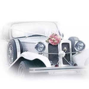 Decoupage Napkin / Tissue papers - GT2022