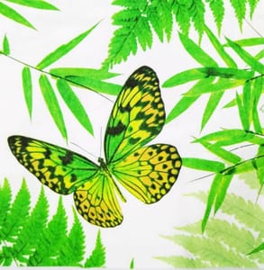 Decoupage Napkin / Tissue papers - GT1381