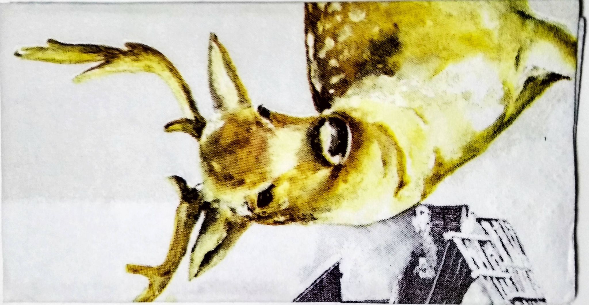 Decoupage Napkin / Tissue papers - 20cm*20cm - GT3152