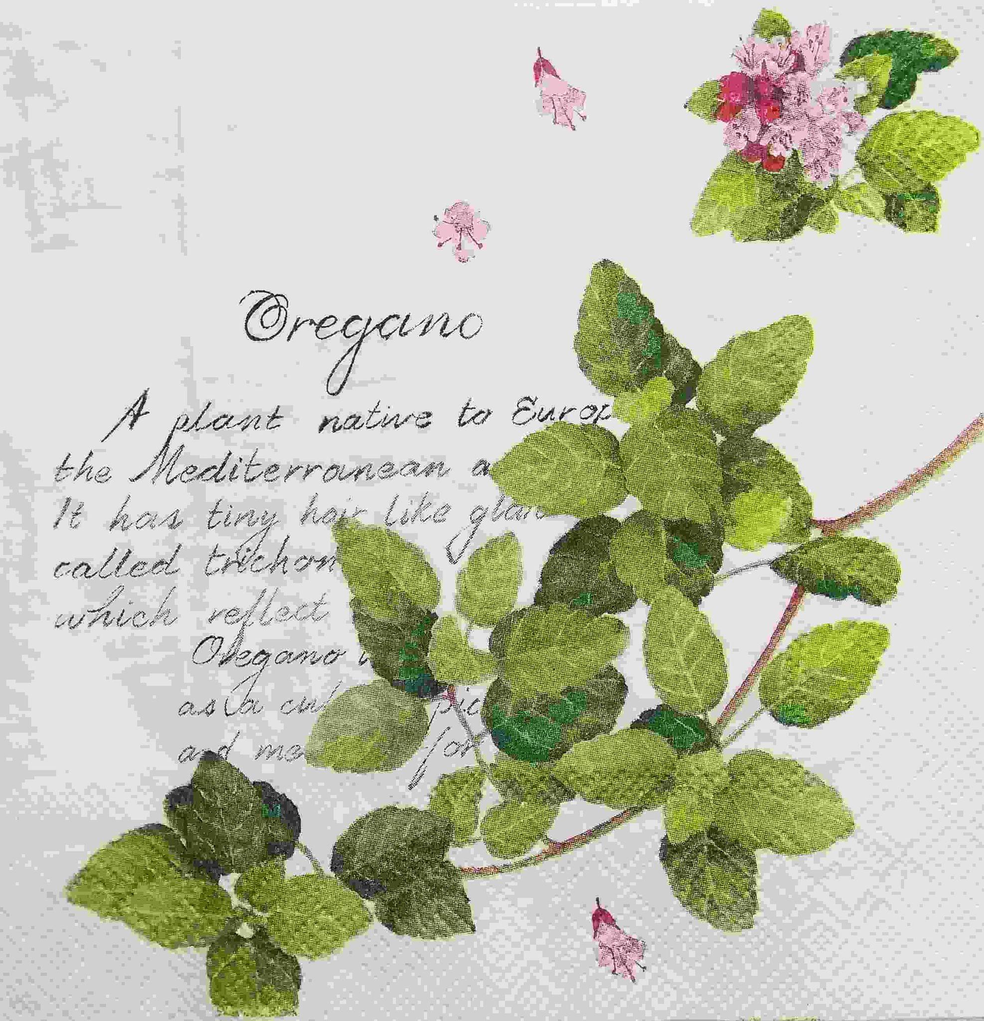 Decoupage Napkin / Tissue papers - GT1686