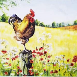 Decoupage Napkin / Tissue papers - GT1213