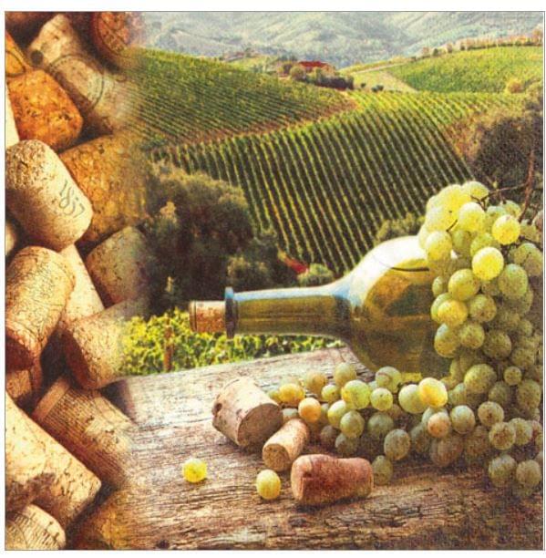 Decoupage Napkin / Tissue papers - 33cm*33cm- GT3027