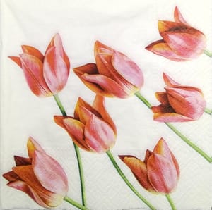 Decoupage Napkin / Tissue papers - DGT1895