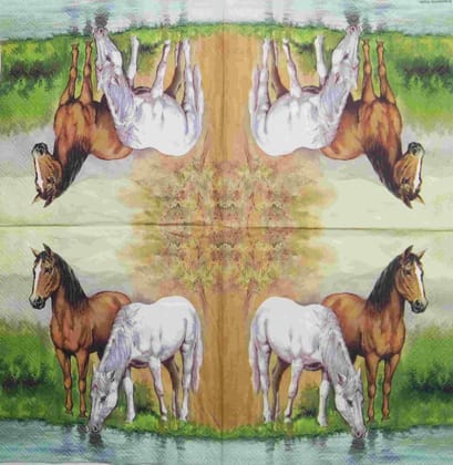 Decoupage Napkin / Tissue papers - GT1771