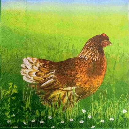 Decoupage Napkin / Tissue papers - GT2846