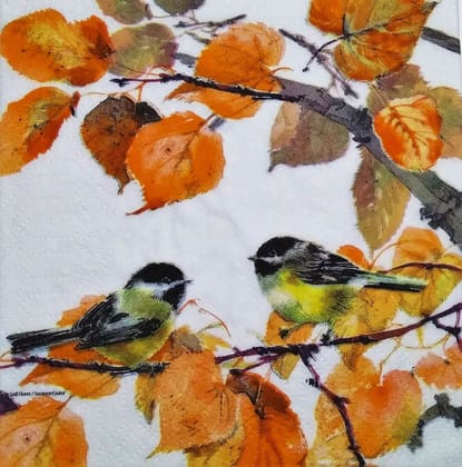 Decoupage Napkin / Tissue papers - 33cm by 33cm - GT1201