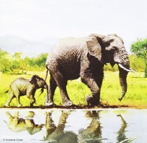 Decoupage Napkin / Tissue papers - GT1091