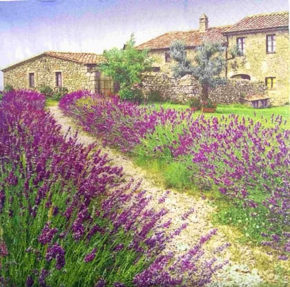 Decoupage Napkin / Tissue papers - GT1976