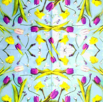 Decoupage Napkin / Tissue papers - DGT1897