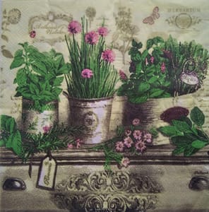 2 Ply Decoupage Napkin / Tissue papers - 33cm by 33cm - GT2172