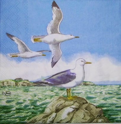 Decoupage Napkin / Tissue papers - 33cm by 33cm - GT1662