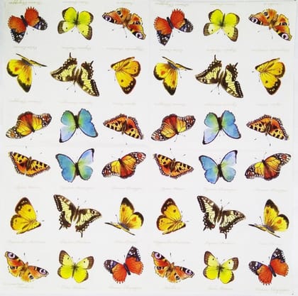 Decoupage Napkin / Tissue papers - 33cm by 33cm - GT1102