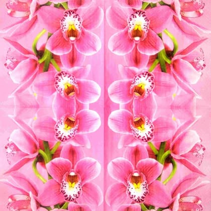 Decoupage Napkin / Tissue papers - GT1801