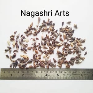 Brand Zero - Miniature Size Seashells Design 1 - Pack of 20 Gms