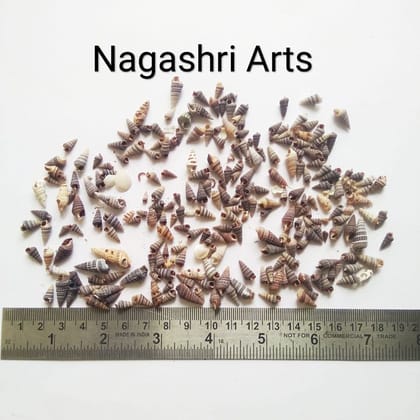 Brand Zero - Miniature Size Seashells Design 1 - Pack of 20 Gms