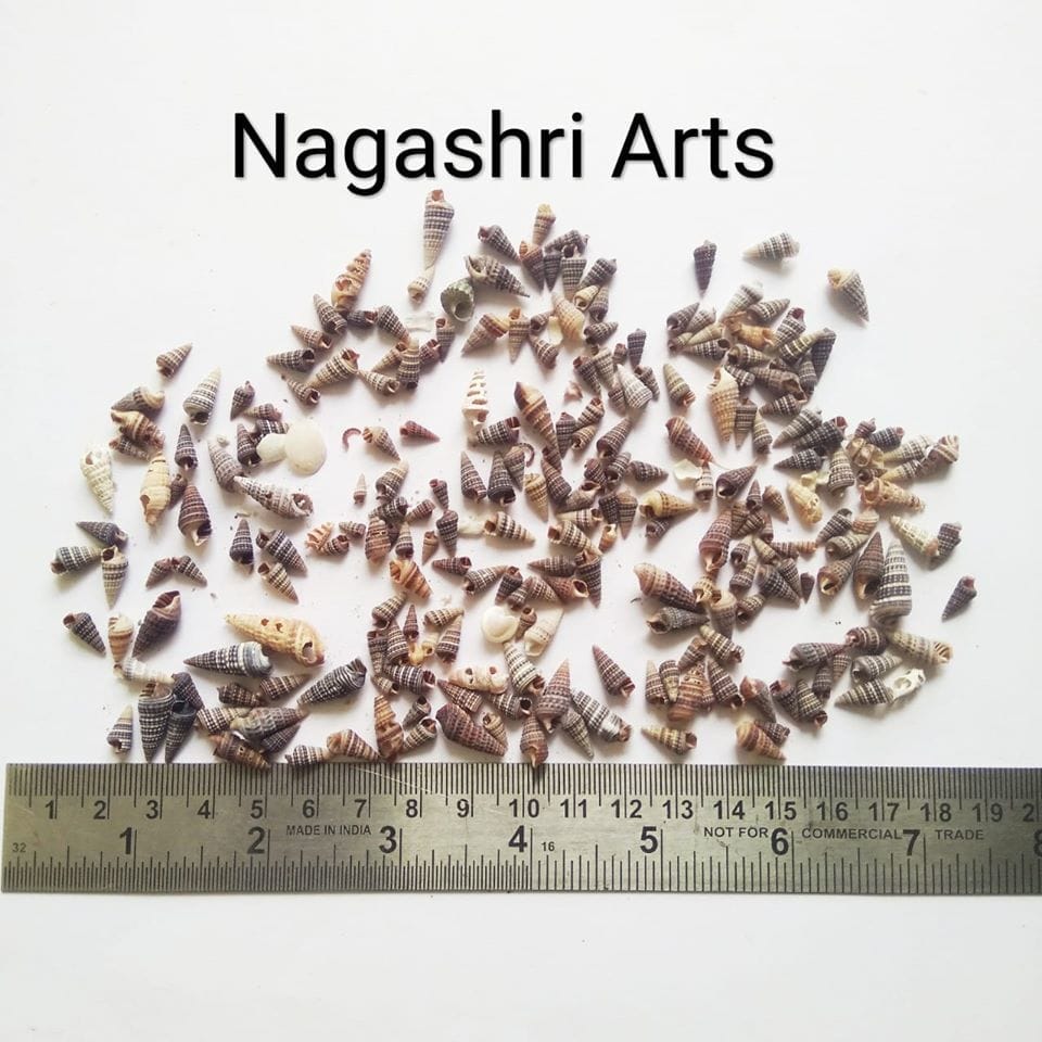 Brand Zero - Miniature Size Seashells Design 1 - Pack of 20 Gms