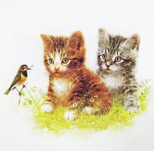 Decoupage Napkin / Tissue papers - 33cm by 33cm - GT1012