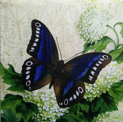 Decoupage Napkin / Tissue papers - 25cm*25cm - GT3167