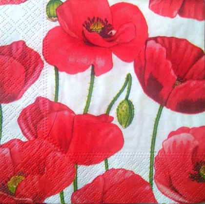 Decoupage Napkin / Tissue papers - GT2048 - 25cm*25cm Decoupage Napkin / Tissue papers - GT2048 - 25cm*25cm