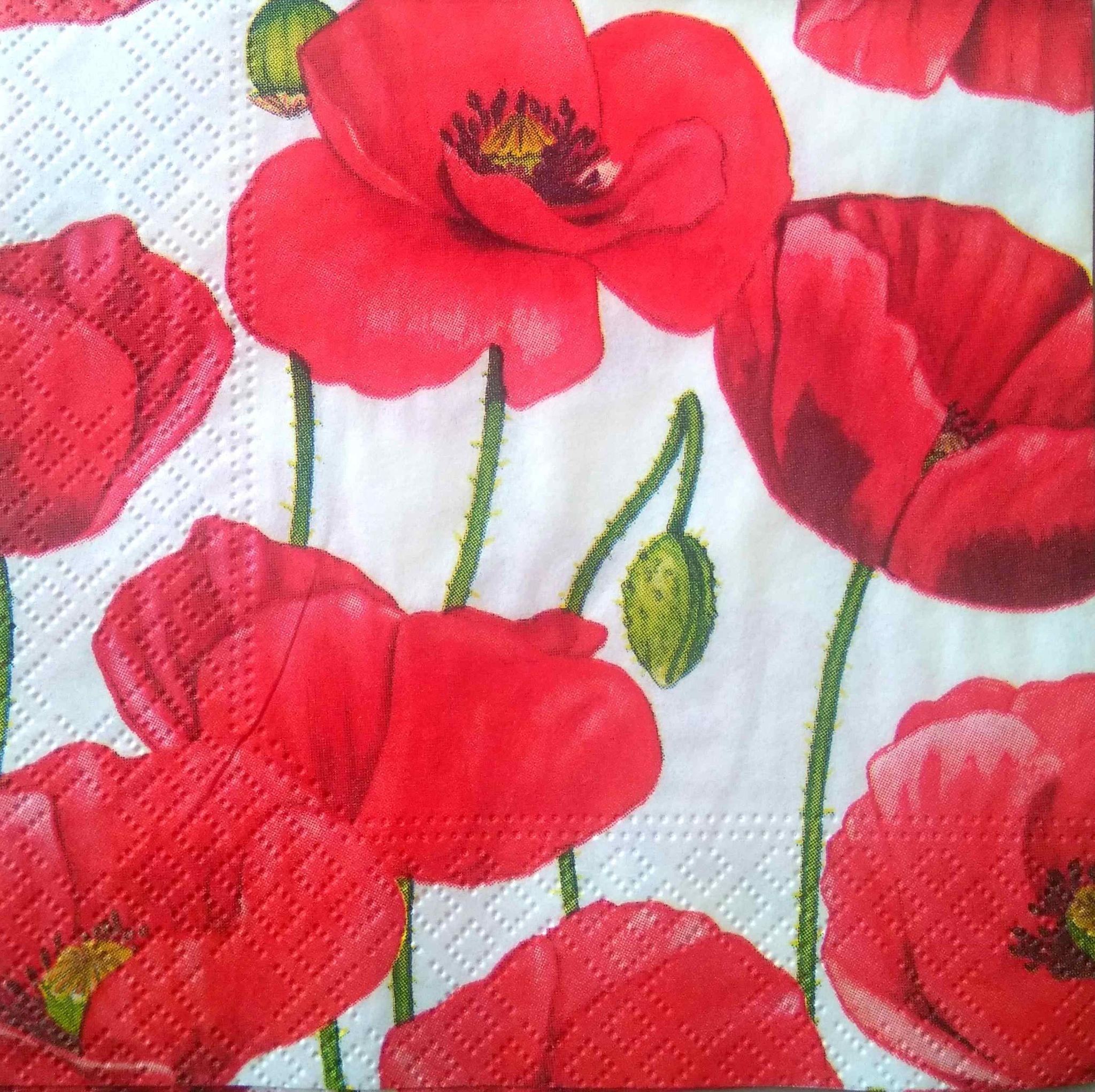 Decoupage Napkin / Tissue papers - GT2048 - 25cm*25cm