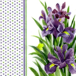 Decoupage Napkin / Tissue papers - GT2185