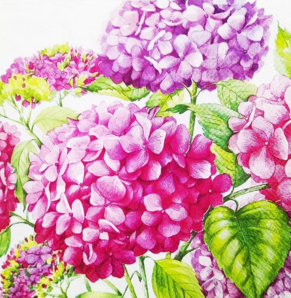 Decoupage Napkin / Tissue papers - 33cm by 33cm - GT1059