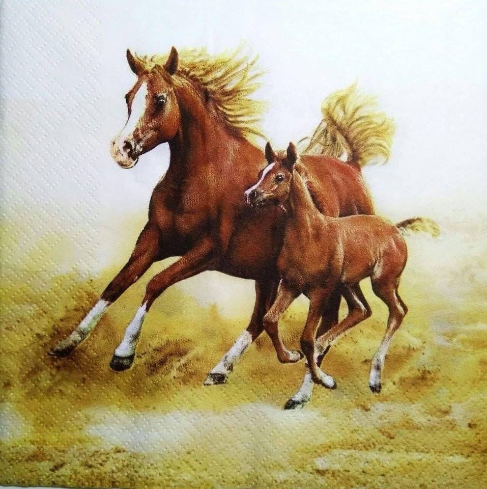 Decoupage Napkin / Tissue papers - 33cm by 33cm - Horse