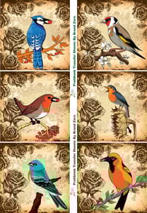 Brand Zero Pratibimb Transfer Sheets - Birds All Around