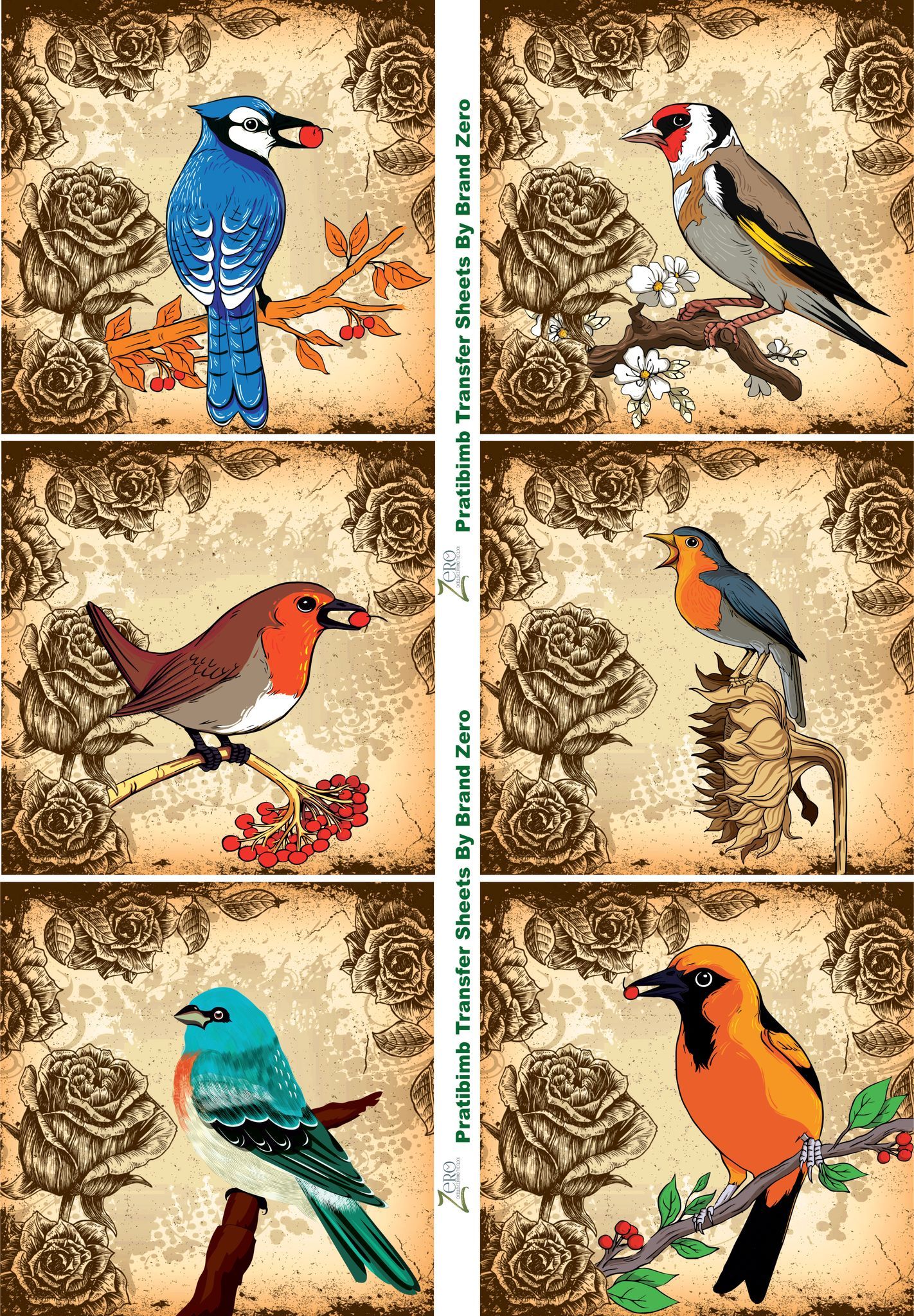 Brand Zero Pratibimb Transfer Sheets - Birds All Around