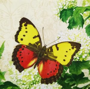 Decoupage Napkin / Tissue papers - GT1032