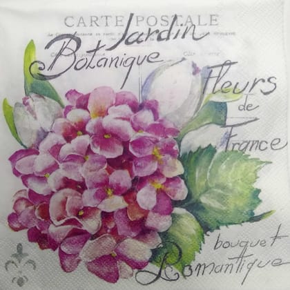 Decoupage Napkin / Tissue papers - GT1924