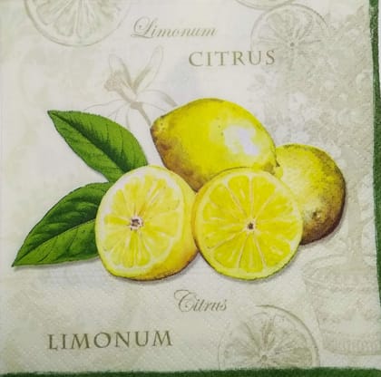 Decoupage Napkin / Tissue papers - 25cm*25cm - GT3236