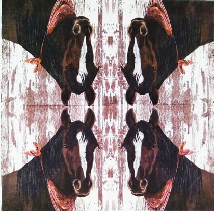 Decoupage Napkin / Tissue papers - GT1426