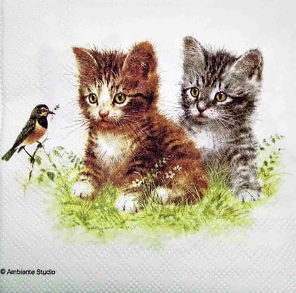 Decoupage Napkin / Tissue papers - 25cm*25cm - GT3168