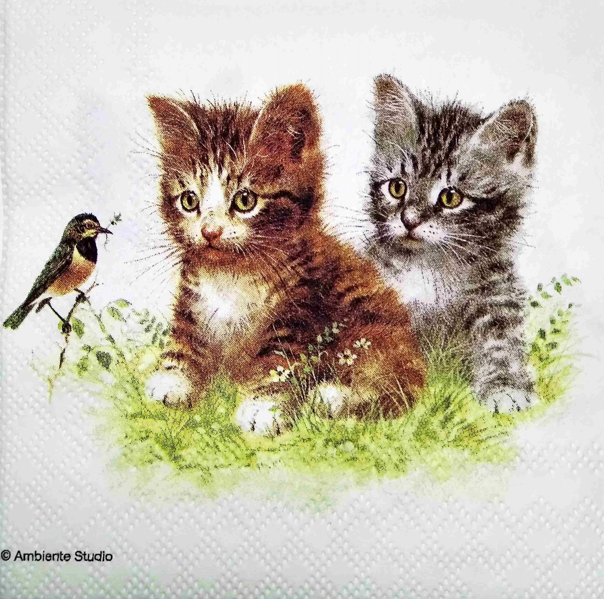 Decoupage Napkin / Tissue papers - 25cm*25cm - GT3168