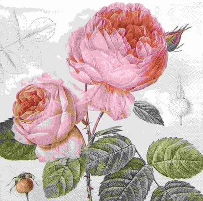 Decoupage Napkin / Tissue papers - GT1803