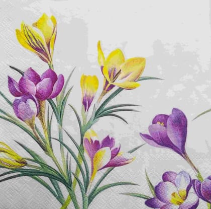 Decoupage Napkin / Tissue papers - GT1733