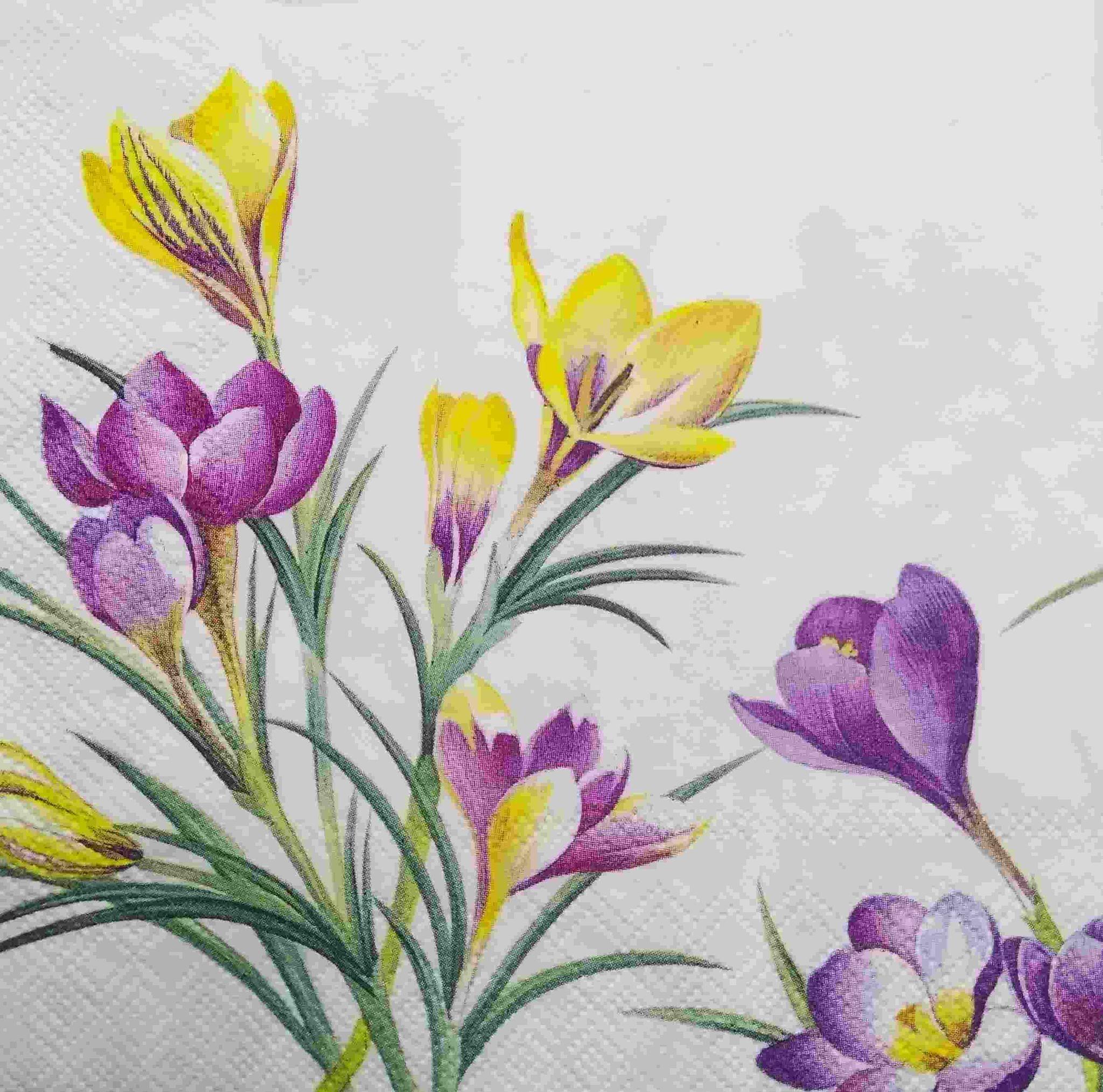 Decoupage Napkin / Tissue papers - GT1733