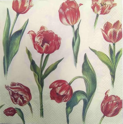 Decoupage Napkin / Tissue papers - GT1937