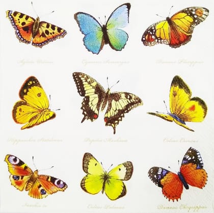 Decoupage Napkin / Tissue papers - 33cm by 33cm - GT1102