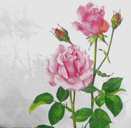 Decoupage Napkin / Tissue papers - GT1658