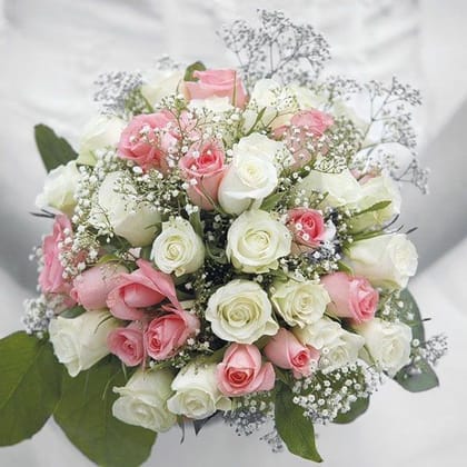 Decoupage Napkin / Tissue papers - 33cm by 33cm - GT3272